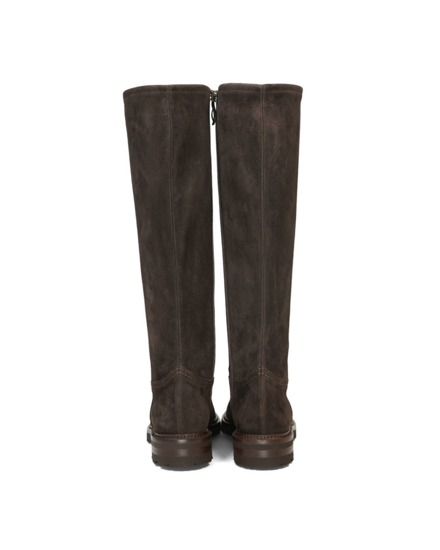 Lorenzo-Masiero-Camoscio-Testa-di-Moro-3 Lorenzo Masiero Camoscio Testa di Moro 3