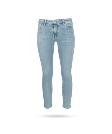 AG-TEMP1557-28YSKI-Prima-Crop