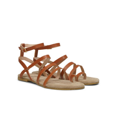 Maluo-Loa-Koala-Gold-2