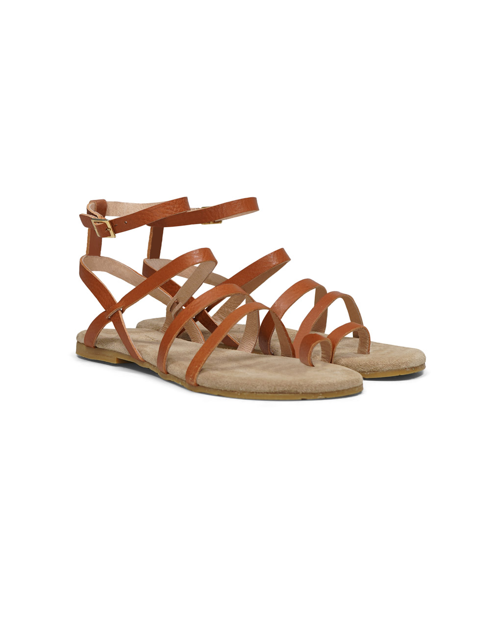 Maluo-Loa-Koala-Gold-2 Maluo-Loa-Koala-Gold-2