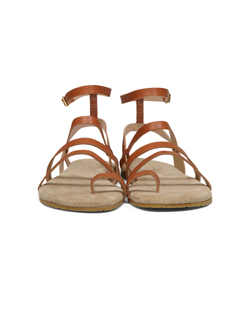 Maluo-Loa-Koala-Gold-3 Maluo-Loa-Koala-Gold-3